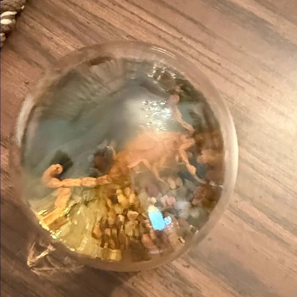Luxurious Gold Fish Globe with Wooden Base